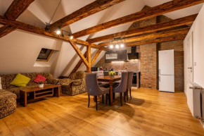 Apartmán u Ljuby Jáchymov